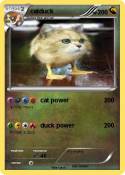 catduck