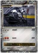 MARYLAND-TERRAPINS