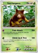 Tree Kangaroo Tree Kangaroo