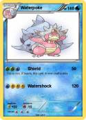 Waterpoke
