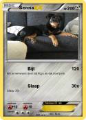 Senna