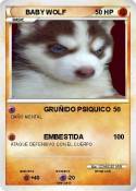BABY WOLF