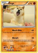 Doge