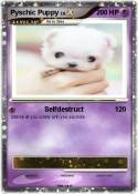Pyschic Puppy