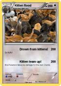 Kitten flood