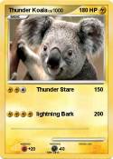 Thunder Koala Thunder Koala