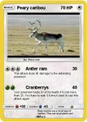 Peary caribou