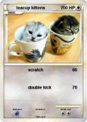 teacup kittens