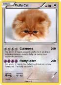 Fluffy Cat