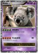 Koala