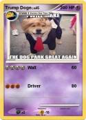 Trump Doge