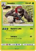 Harambo