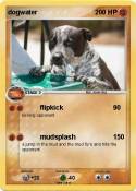 dogwater