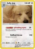 fluffy dog fluffy dog