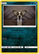Dark dog