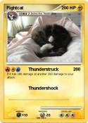 Fightcat