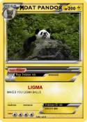 DAT PANDOR