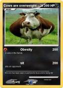Cows are