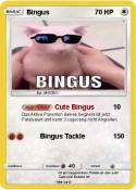 Bingus Bingus
