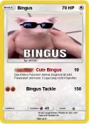 Bingus