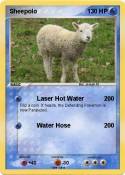 Sheepolo