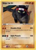 Ninja Cat EX