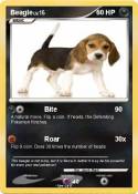 Beagle