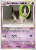 CUTEST kitten