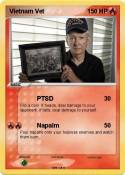 Vietnam Vet
