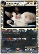 Kaptin KittyEX