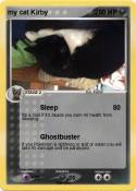 my cat Kirby