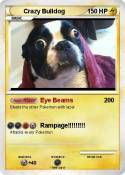 Crazy Bulldog