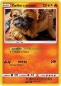 Carlino