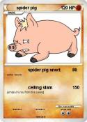 spider pig