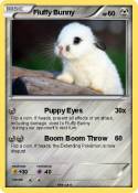 Fluffy Bunny