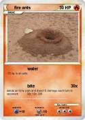 fire ants