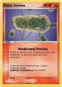 Pestis Yersinia