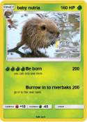 baby nutria