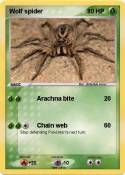 Wolf spider