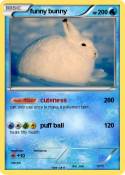 funny bunny