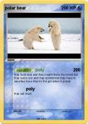 polar bear
