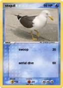 seagull