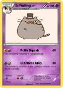 Sr.Fluffington