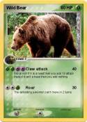 Wild Bear