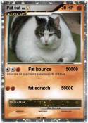 Fat cat