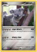 koala