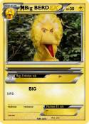 Big BERD