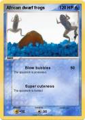 African dwarf frogs African dwarf
