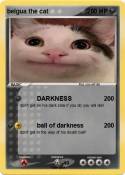 belgua the cat