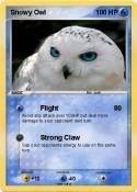 Snowy Owl